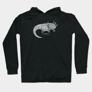 Axolotl with Common and Scientific Names - cool animal design Hoodie